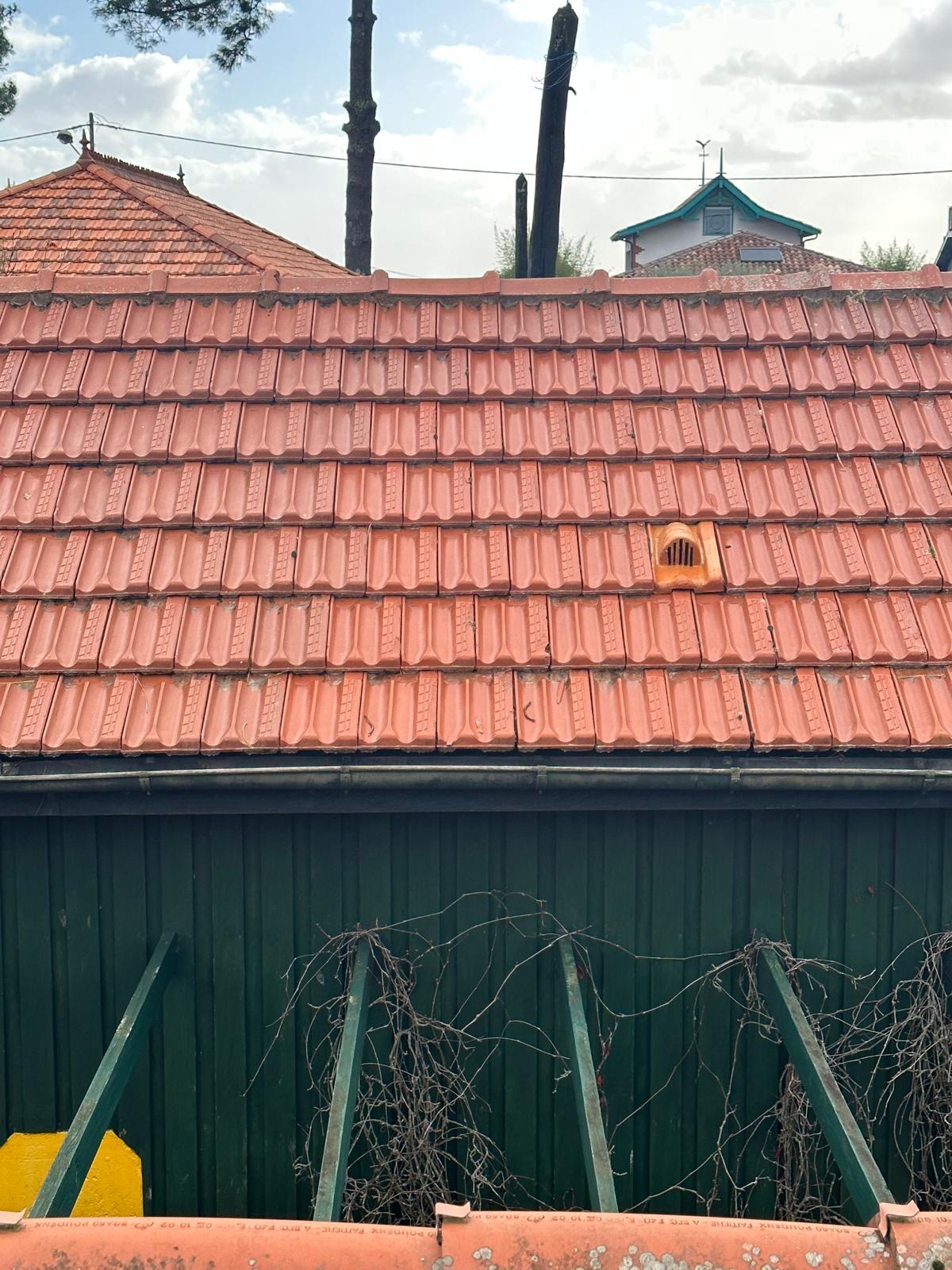 PHOTO 2025 02 18 17 53 38 6