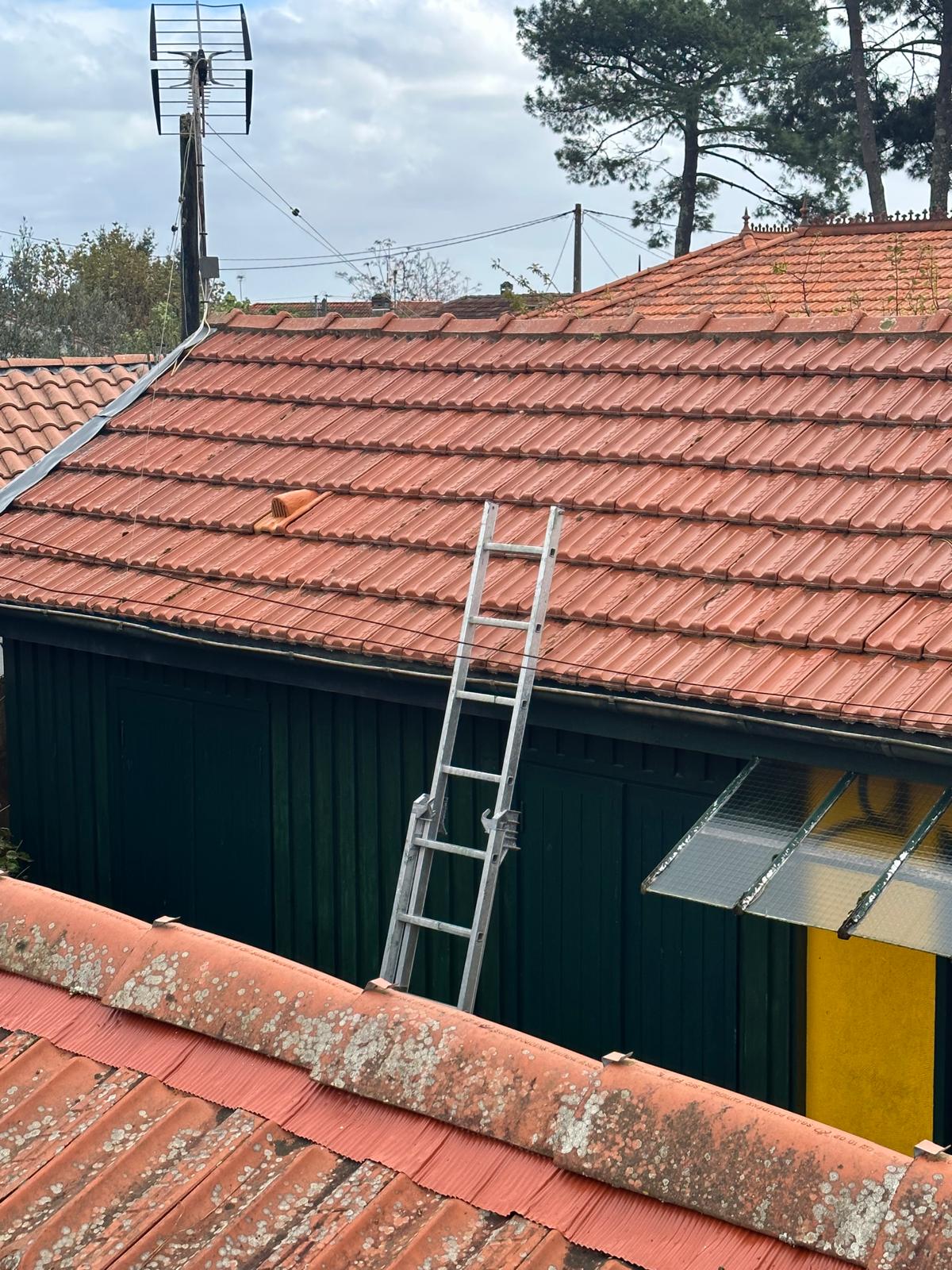 PHOTO 2025 02 18 17 53 38 7