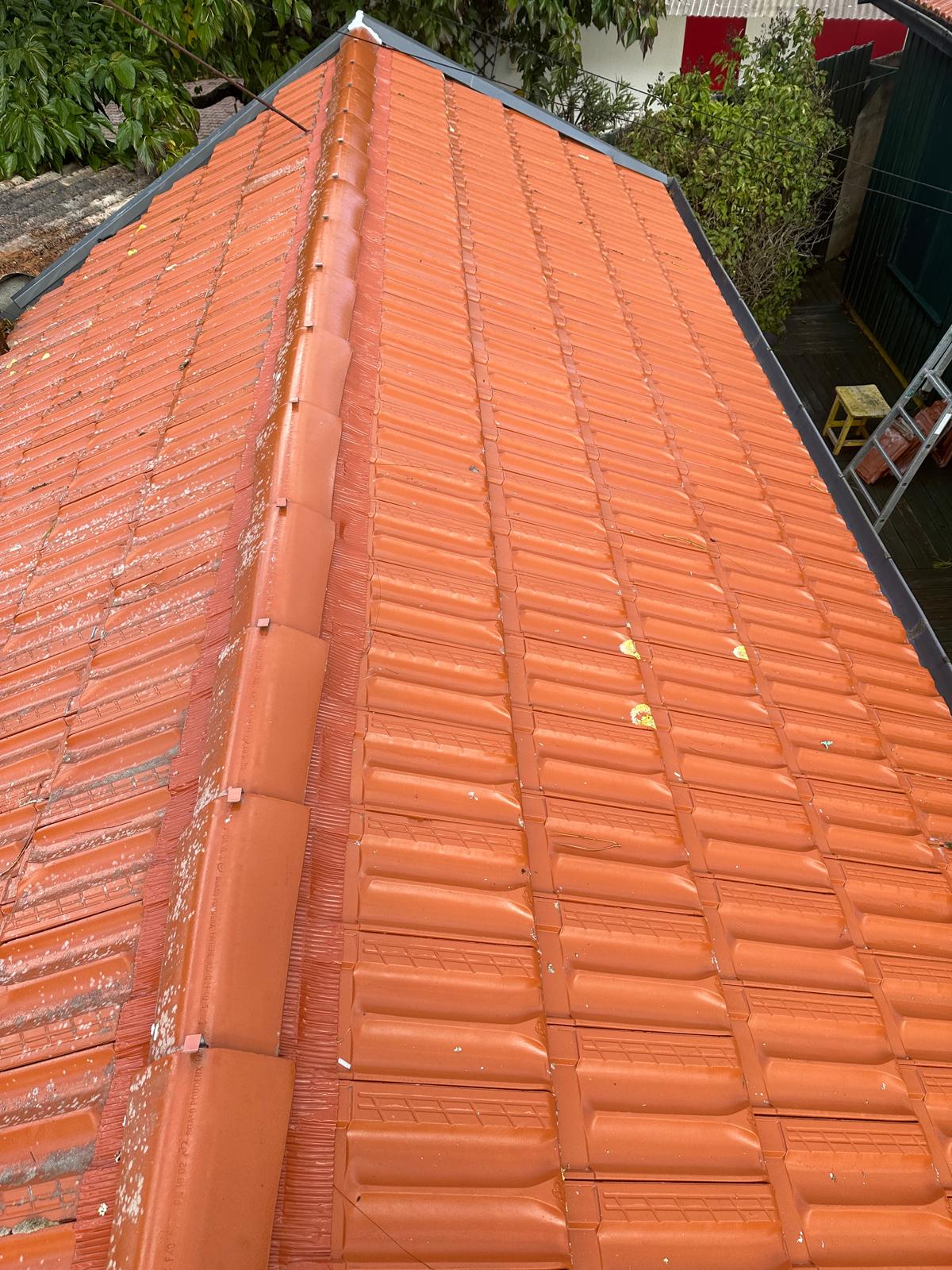 services-04 PHOTO 2025 02 18 17 53 38 8