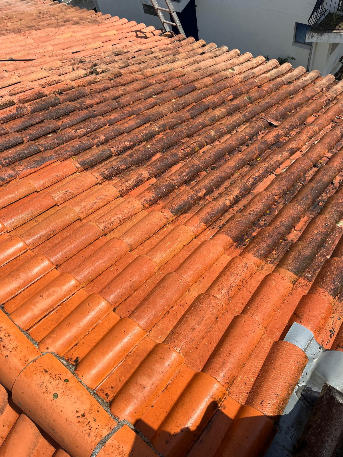 services-02 PHOTO 2025 02 18 18 00 28 9