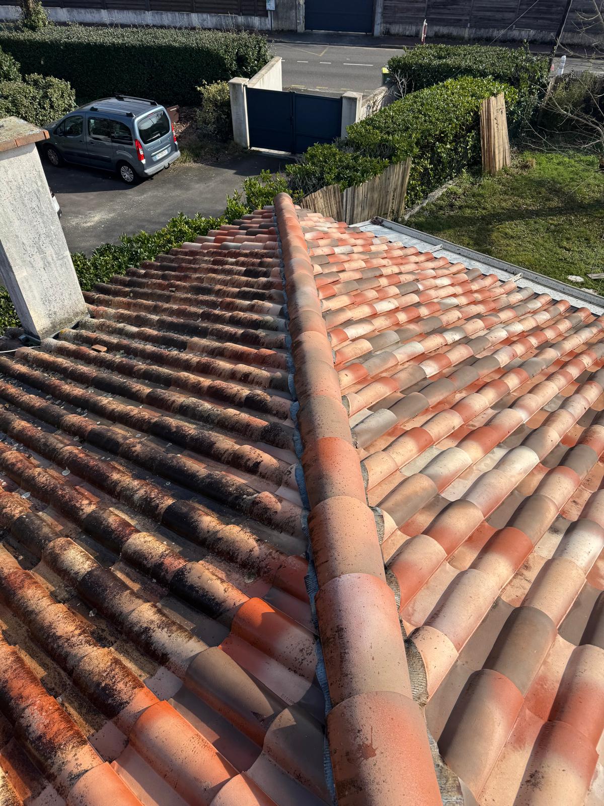 gallery-01 PHOTO 2025 02 23 00 14 51